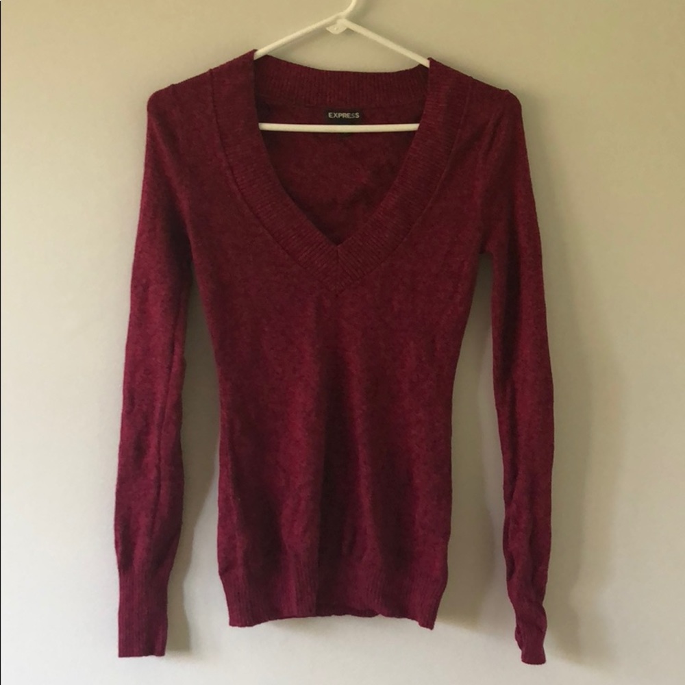 Express V-Neck Sweater